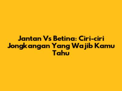 Jantan Vs Betina: Ciri-ciri Jongkangan Yang Wajib Kamu Tahu