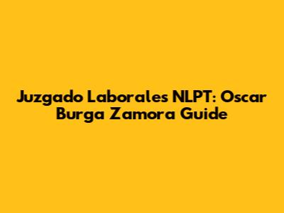 Juzgado Laborales NLPT: Oscar Burga Zamora Guide