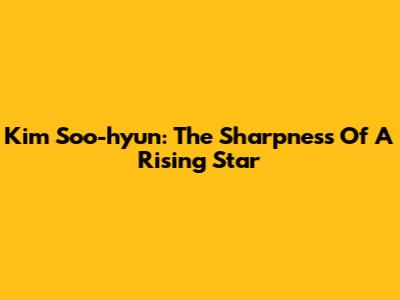 Kim Soo-hyun: The Sharpness Of A Rising Star