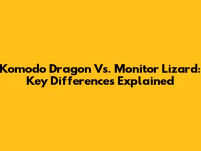 Komodo Dragon Vs. Monitor Lizard: Key Differences Explained