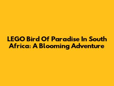 LEGO Bird Of Paradise In South Africa: A Blooming Adventure