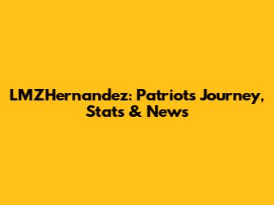 LMZHernandez: Patriots Journey, Stats & News