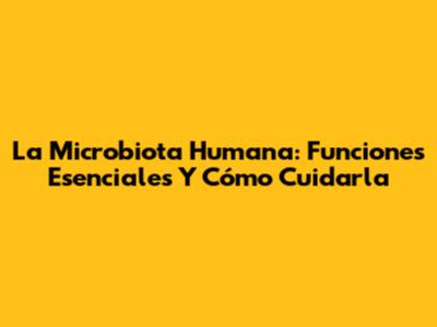 La Microbiota Humana: Funciones Esenciales Y Cómo Cuidarla