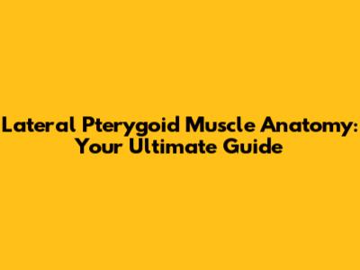 Lateral Pterygoid Muscle Anatomy: Your Ultimate Guide