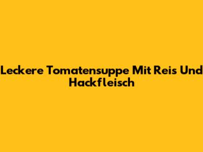 Leckere Tomatensuppe Mit Reis Und Hackfleisch