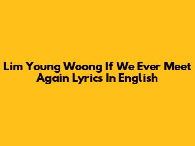 Lim Young Woong "If We Ever Meet Again" Lyrics In English