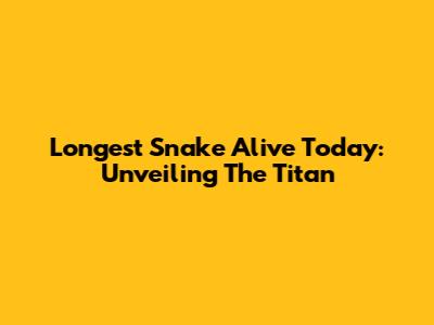 Longest Snake Alive Today: Unveiling The Titan
