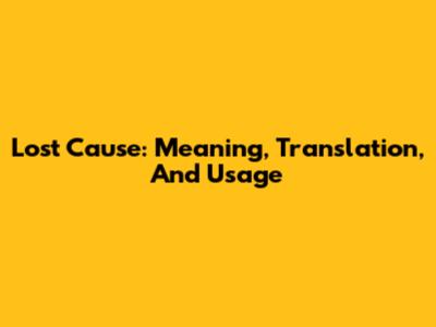 Lost Cause: Meaning, Translation, And Usage
