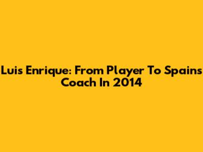 Luis Enrique: From Player To Spain's Coach In 2014