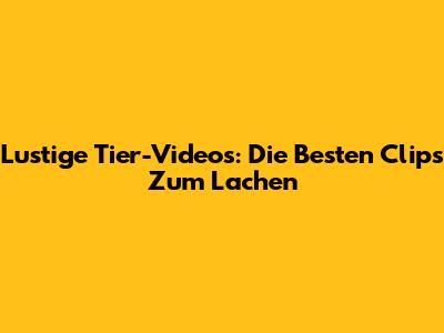 Lustige Tier-Videos: Die Besten Clips Zum Lachen