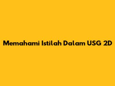 Memahami Istilah Dalam USG 2D