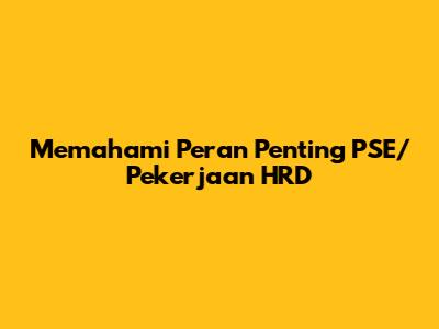 Memahami Peran Penting PSE/Pekerjaan HRD