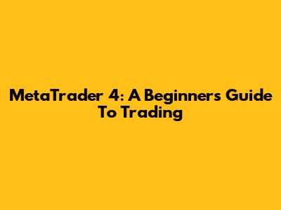 MetaTrader 4: A Beginner's Guide To Trading