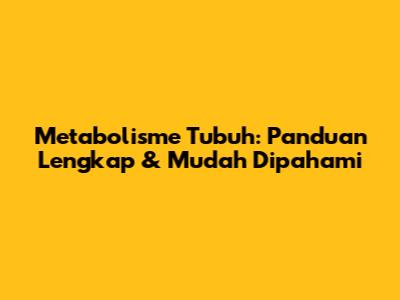 Metabolisme Tubuh: Panduan Lengkap & Mudah Dipahami