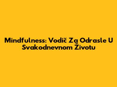 Mindfulness: Vodič Za Odrasle U Svakodnevnom Životu