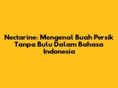 Nectarine: Mengenal Buah Persik Tanpa Bulu Dalam Bahasa Indonesia