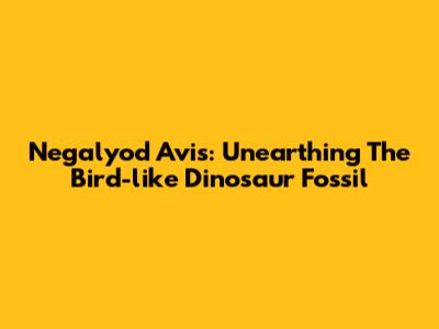 Negalyod Avis: Unearthing The Bird-like Dinosaur Fossil
