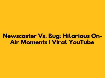 Newscaster Vs. Bug: Hilarious On-Air Moments | Viral YouTube