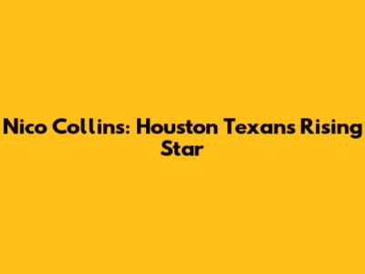Nico Collins: Houston Texans' Rising Star