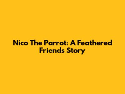 Nico The Parrot: A Feathered Friend's Story
