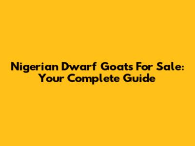 Nigerian Dwarf Goats For Sale: Your Complete Guide