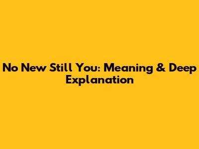 No New Still You: Meaning & Deep Explanation