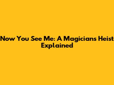 Now You See Me: A Magician's Heist Explained