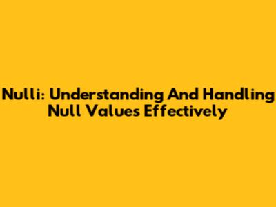 Nulli: Understanding And Handling Null Values Effectively