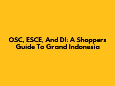 OSC, ESCE, And DI: A Shopper's Guide To Grand Indonesia