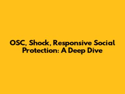 OSC, Shock, Responsive Social Protection: A Deep Dive