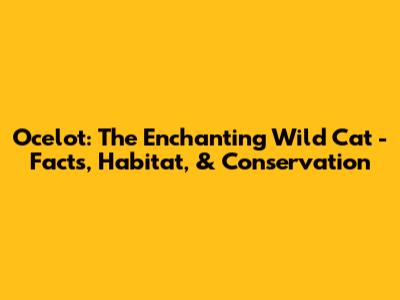 Ocelot: The Enchanting Wild Cat - Facts, Habitat, & Conservation