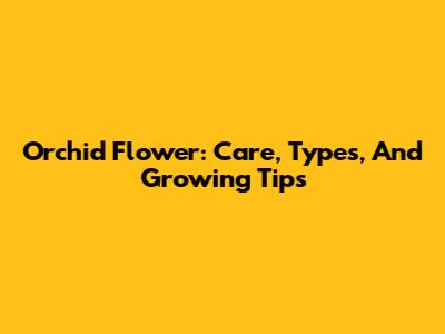 Orchid Flower: Care, Types, And Growing Tips