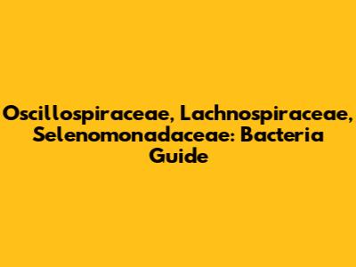 Oscillospiraceae, Lachnospiraceae, Selenomonadaceae: Bacteria Guide