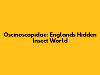 Oscinoscopidae: England's Hidden Insect World
