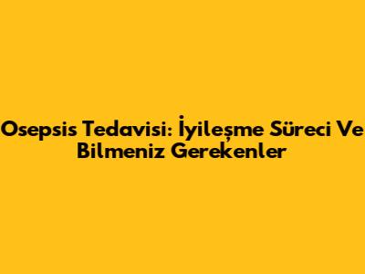 Osepsis Tedavisi: İyileşme Süreci Ve Bilmeniz Gerekenler