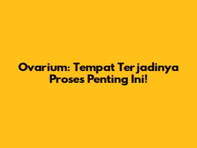 Ovarium: Tempat Terjadinya Proses Penting Ini!