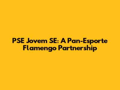 PSE Jovem SE: A Pan-Esporte Flamengo Partnership