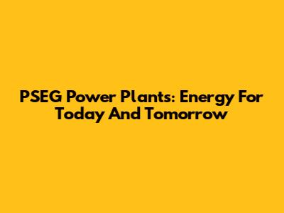 PSEG Power Plants: Energy For Today And Tomorrow