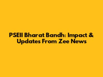 PSEII Bharat Bandh: Impact & Updates From Zee News