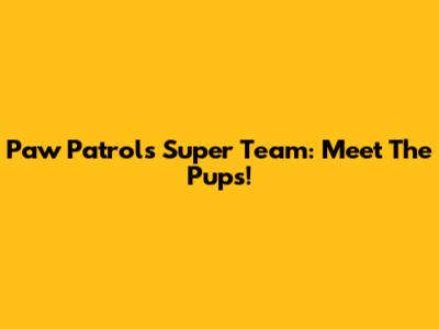 Paw Patrol's Super Team: Meet The Pups!