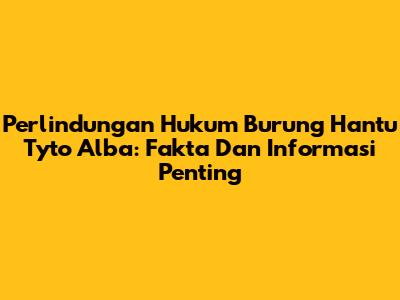 Perlindungan Hukum Burung Hantu Tyto Alba: Fakta Dan Informasi Penting