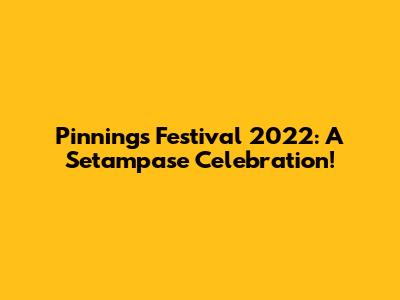 Pinnings Festival 2022: A Setampase Celebration!