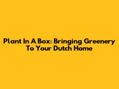 Plant In A Box: Bringing Greenery To Your Dutch Home