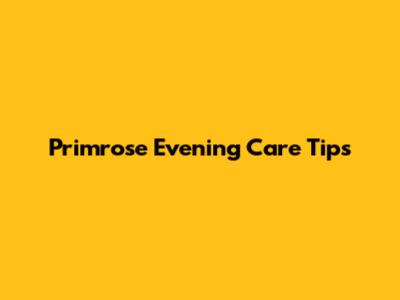 Primrose Evening Care Tips