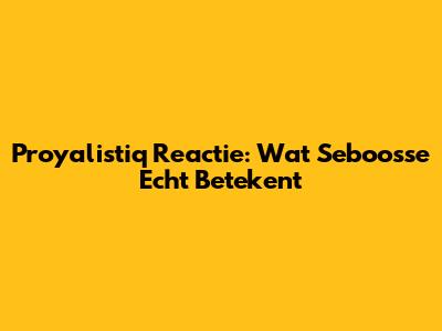 Proyalistiq Reactie: Wat Seboosse Echt Betekent