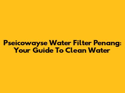 Pseicowayse Water Filter Penang: Your Guide To Clean Water