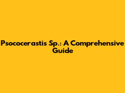 Psococerastis Sp.: A Comprehensive Guide