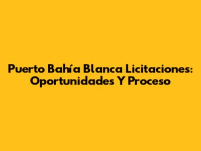Puerto Bahía Blanca Licitaciones: Oportunidades Y Proceso