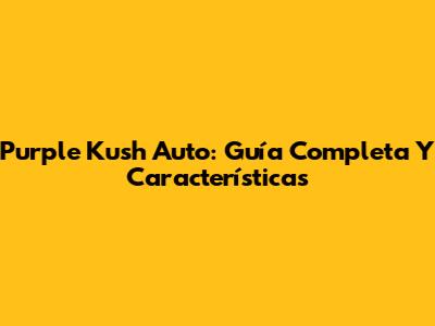 Purple Kush Auto: Guía Completa Y Características