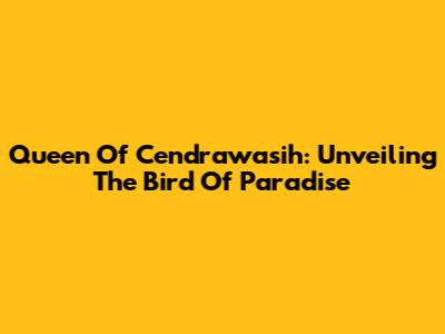 Queen Of Cendrawasih: Unveiling The Bird Of Paradise
